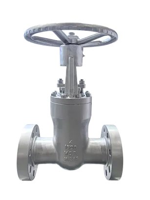 cast steel gate valve