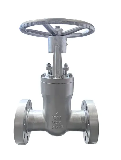 cast steel gate valve